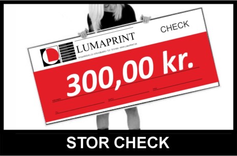 Stor check